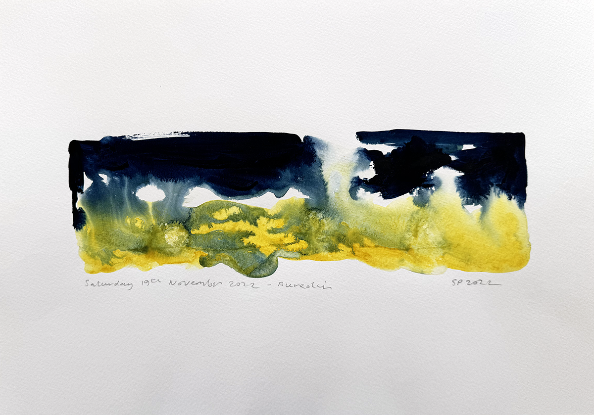 Saturday 19th November 2022 - Aureolin