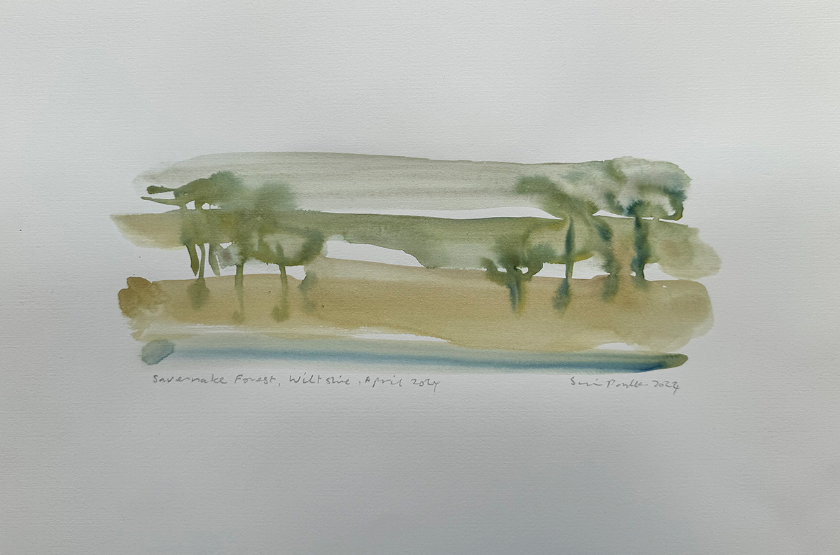 Savernake Forest Wiltshire April 2024