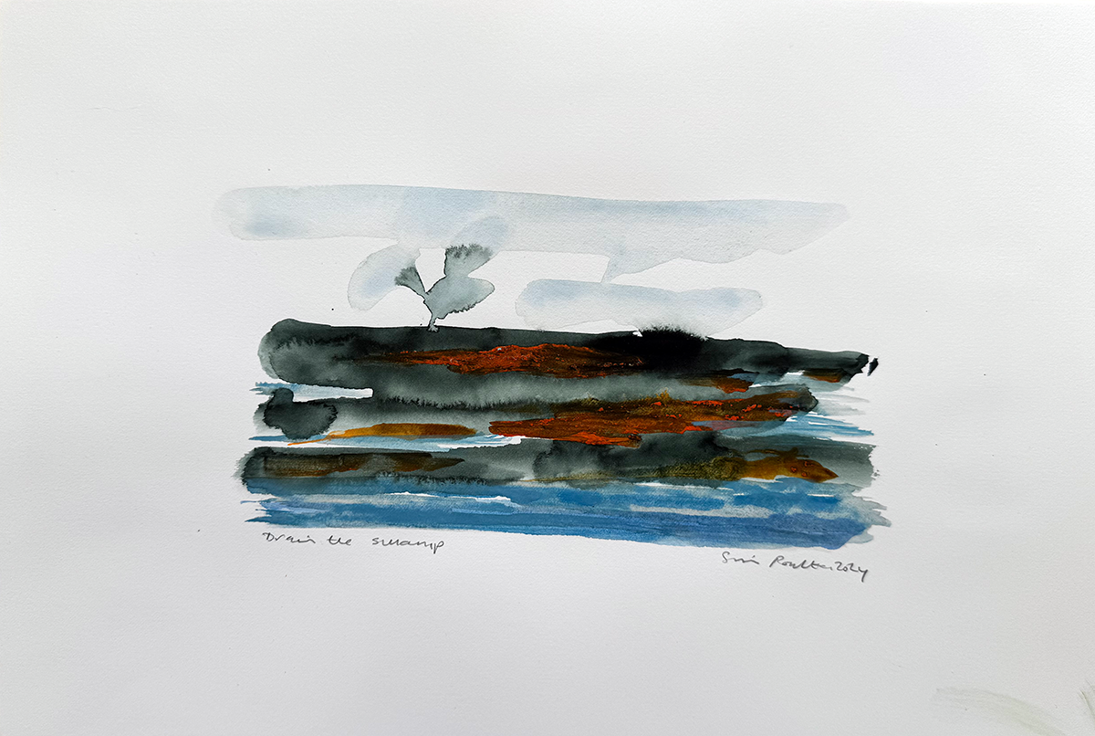 Drain The Swamp 2024